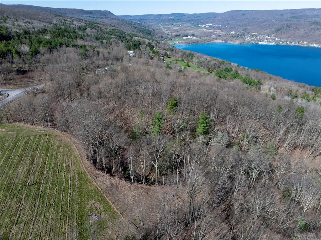 0 County Route 87 Road, Urbana, New York 14840, Urbana, New York 14840, ,Land,For Sale,0 County Route 87 Road, Urbana, New York 14840,0,R1600019