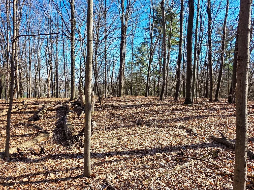 0 County Route 87 Road, Urbana, New York 14840, Urbana, New York 14840, ,Land,For Sale,0 County Route 87 Road, Urbana, New York 14840,0,R1600019