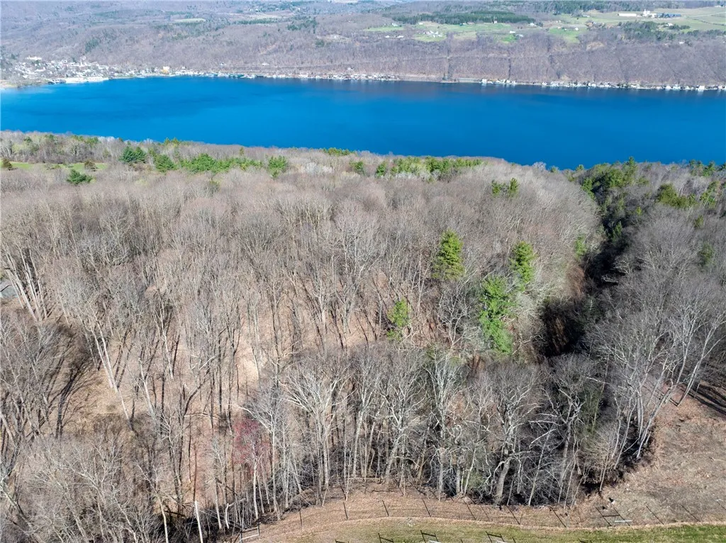 0 County Route 87 Road, Urbana, New York 14840, Urbana, New York 14840, ,Land,For Sale,0 County Route 87 Road, Urbana, New York 14840,0,R1600019