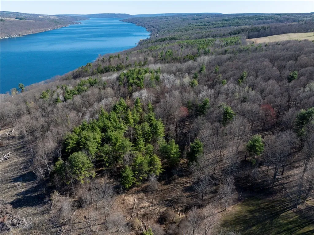 0 County Route 87 Road, Urbana, New York 14840, Urbana, New York 14840, ,Land,For Sale,0 County Route 87 Road, Urbana, New York 14840,0,R1600019