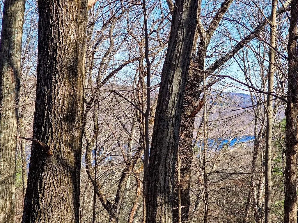 0 County Route 87 Road, Urbana, New York 14840, Urbana, New York 14840, ,Land,For Sale,0 County Route 87 Road, Urbana, New York 14840,0,R1600019