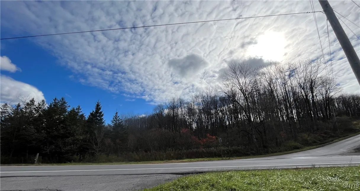 0000 Nys Route 28, Trenton, New York 13304, Trenton, New York 13304, ,Land,For Sale,0000 Nys Route 28, Trenton, New York 13304,0,S1601346