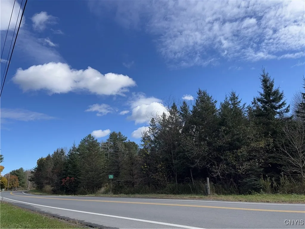 0000 Nys Route 28, Trenton, New York 13304, Trenton, New York 13304, ,Land,For Sale,0000 Nys Route 28, Trenton, New York 13304,0,S1601346