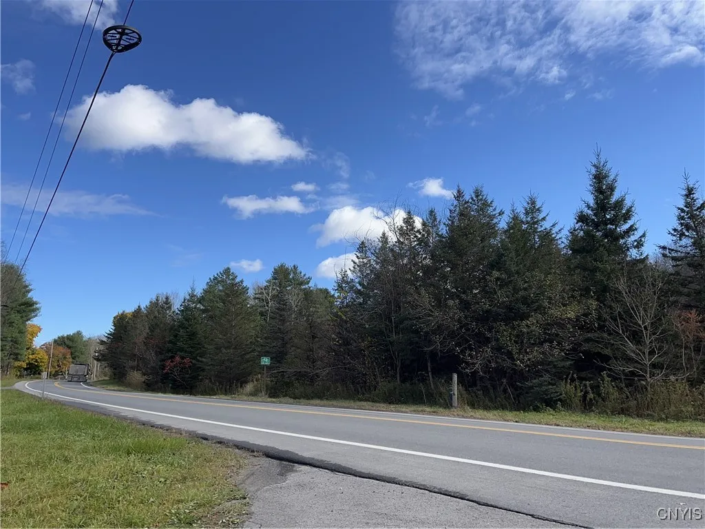 0000 Nys Route 28, Trenton, New York 13304, Trenton, New York 13304, ,Land,For Sale,0000 Nys Route 28, Trenton, New York 13304,0,S1601346