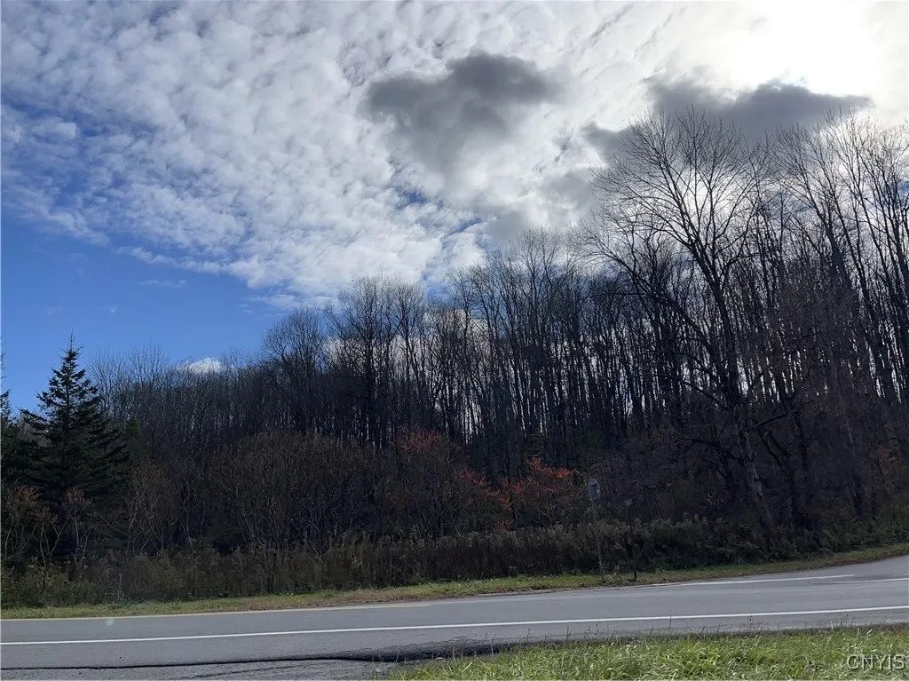 0000 Nys Route 28, Trenton, New York 13304, Trenton, New York 13304, ,Land,For Sale,0000 Nys Route 28, Trenton, New York 13304,0,S1601346