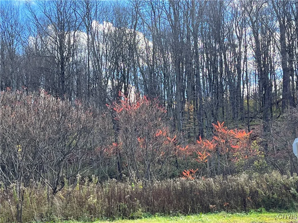 0000 Nys Route 28, Trenton, New York 13304, Trenton, New York 13304, ,Land,For Sale,0000 Nys Route 28, Trenton, New York 13304,0,S1601346