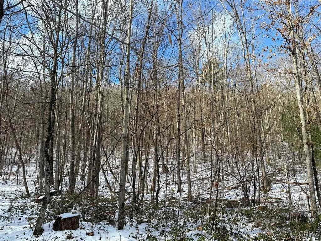 Rt-414, Hornby, New York 14830, Hornby, New York 14830, ,Land,Closed,Rt-414, Hornby, New York 14830,S1601430