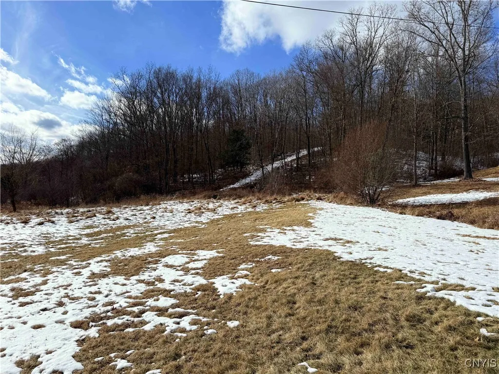 Rt-414, Hornby, New York 14830, Hornby, New York 14830, ,Land,Closed,Rt-414, Hornby, New York 14830,S1601430