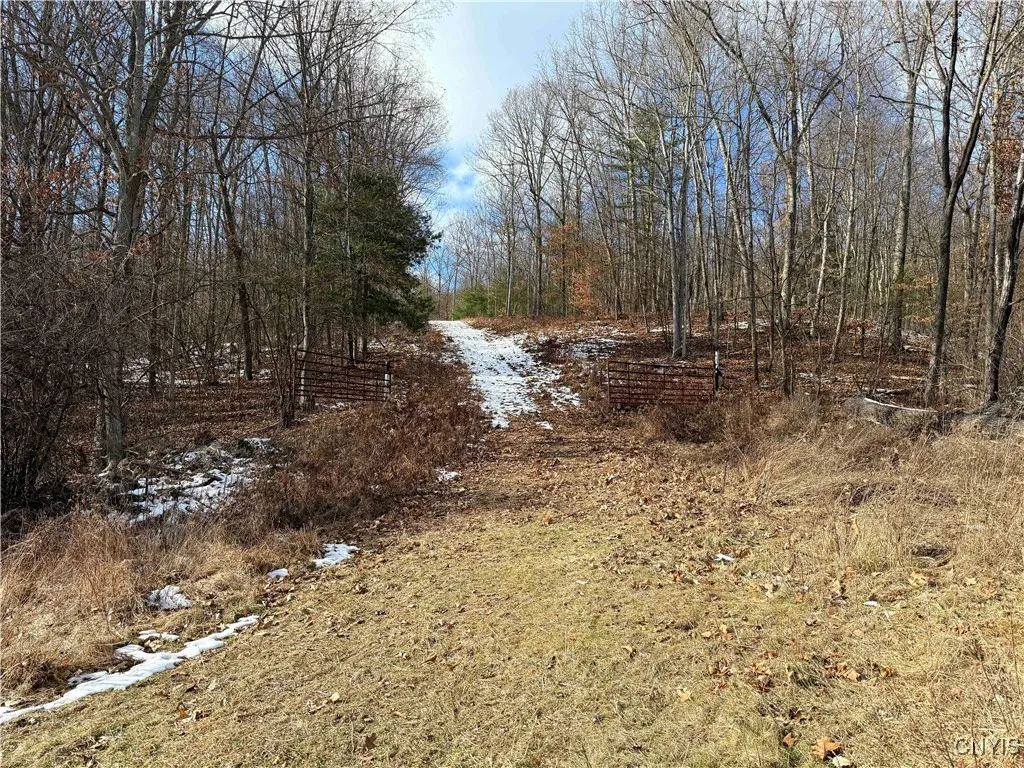 Rt-414, Hornby, New York 14830, Hornby, New York 14830, ,Land,Closed,Rt-414, Hornby, New York 14830,S1601430