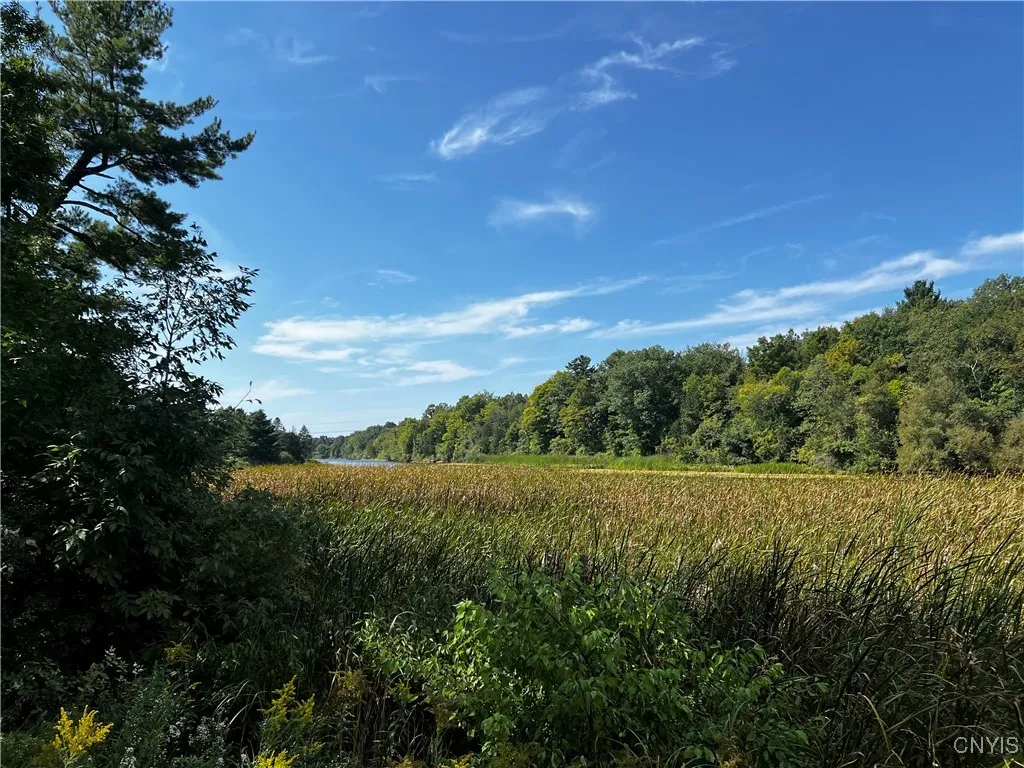 0 Conklin Drive Street North, Lyme, New York 13622, Lyme, New York 13622, ,Land,For Sale,0 Conklin Drive Street North, Lyme, New York 13622,0,S1601277