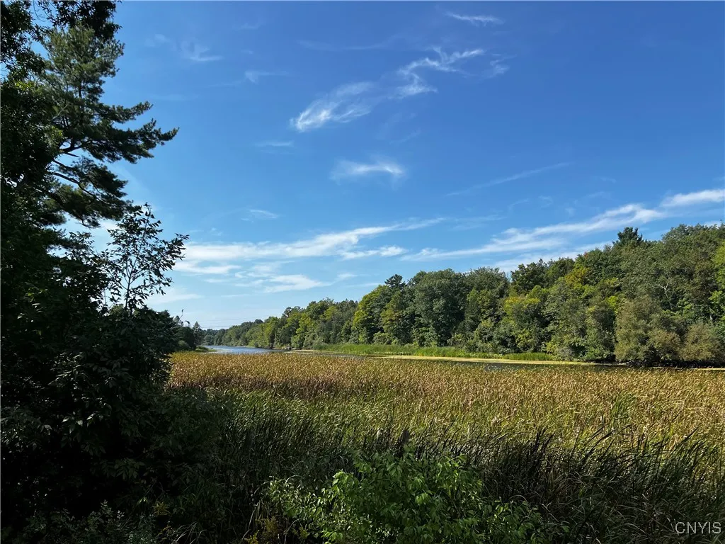0 Conklin Drive Street North, Lyme, New York 13622, Lyme, New York 13622, ,Land,For Sale,0 Conklin Drive Street North, Lyme, New York 13622,0,S1601277