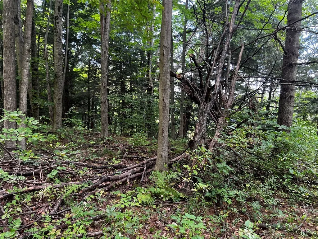 0 Conklin Drive Street North, Lyme, New York 13622, Lyme, New York 13622, ,Land,For Sale,0 Conklin Drive Street North, Lyme, New York 13622,0,S1601277