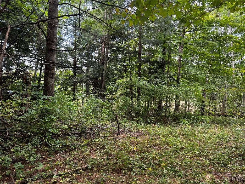 0 Conklin Drive Street North, Lyme, New York 13622, Lyme, New York 13622, ,Land,For Sale,0 Conklin Drive Street North, Lyme, New York 13622,0,S1601277