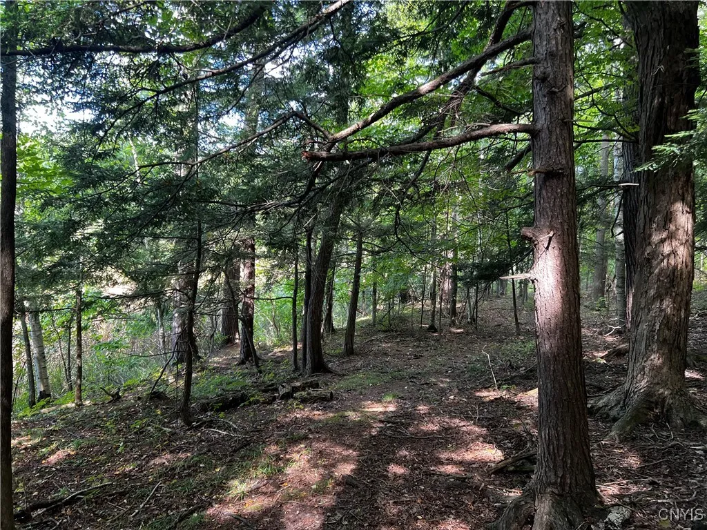 0 Conklin Drive Street North, Lyme, New York 13622, Lyme, New York 13622, ,Land,For Sale,0 Conklin Drive Street North, Lyme, New York 13622,0,S1601277