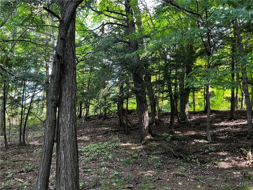 0 Conklin Drive Street North, Lyme, New York 13622, Lyme, New York 13622, ,Land,For Sale,0 Conklin Drive Street North, Lyme, New York 13622,0,S1601277