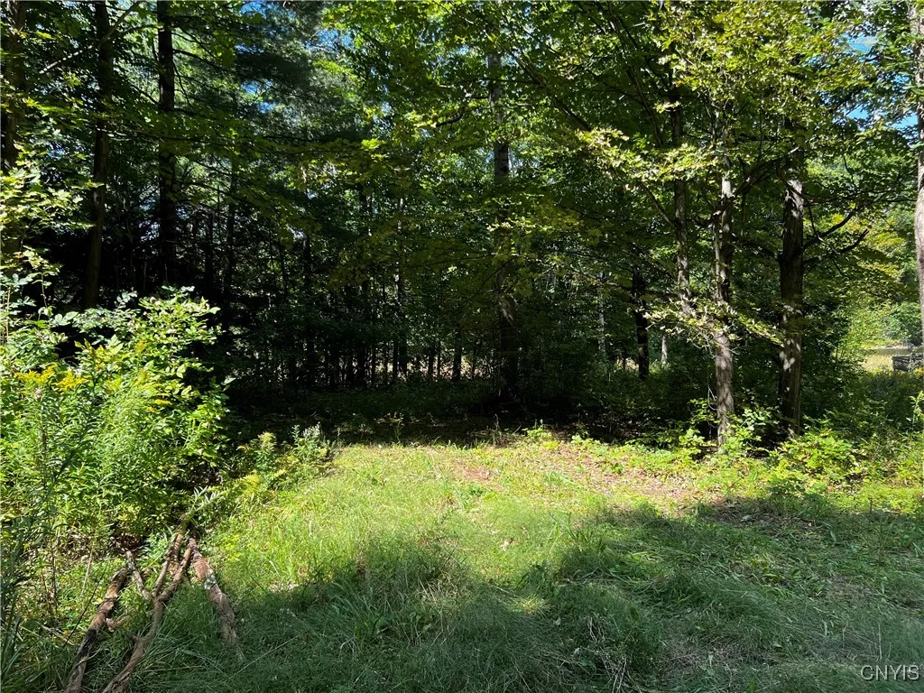 0 Conklin Drive Street North, Lyme, New York 13622, Lyme, New York 13622, ,Land,For Sale,0 Conklin Drive Street North, Lyme, New York 13622,0,S1601277