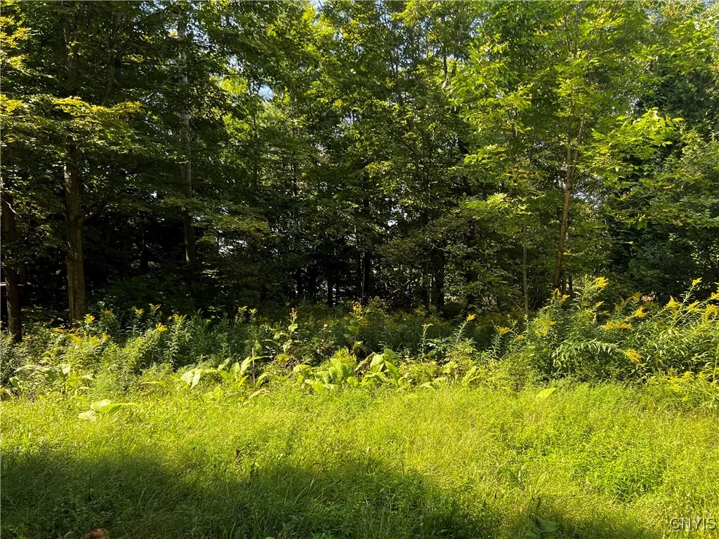 0 Conklin Drive Street North, Lyme, New York 13622, Lyme, New York 13622, ,Land,For Sale,0 Conklin Drive Street North, Lyme, New York 13622,0,S1601277