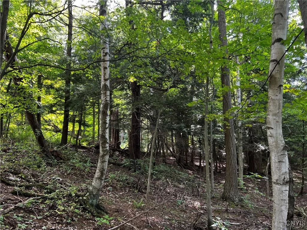 0 Conklin Drive Street North, Lyme, New York 13622, Lyme, New York 13622, ,Land,For Sale,0 Conklin Drive Street North, Lyme, New York 13622,0,S1601277