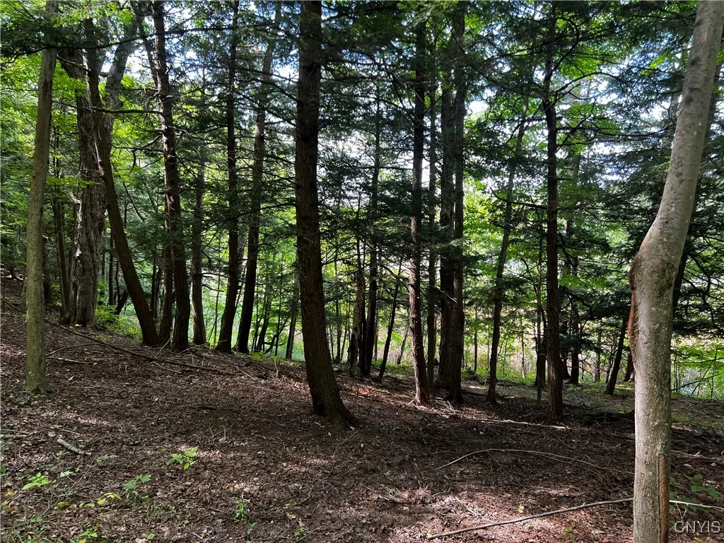0 Conklin Drive Street North, Lyme, New York 13622, Lyme, New York 13622, ,Land,For Sale,0 Conklin Drive Street North, Lyme, New York 13622,0,S1601277