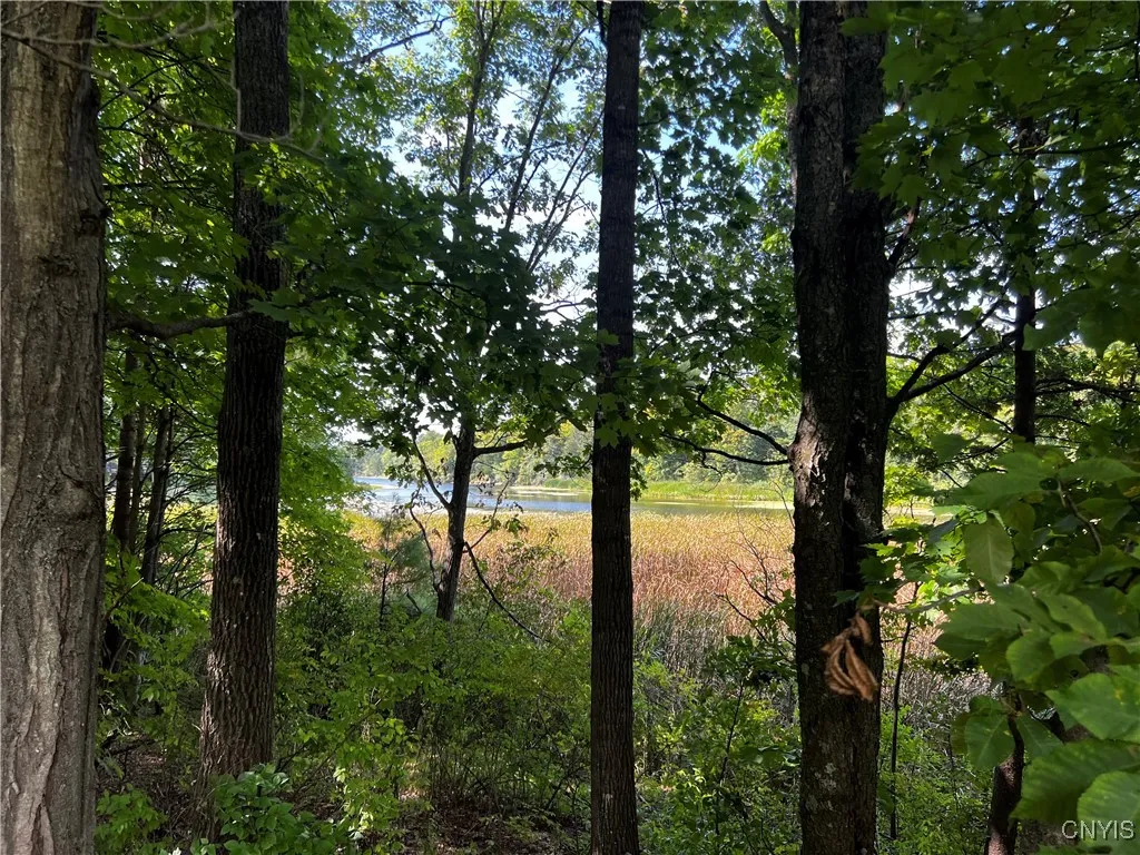 0 Conklin Drive Street North, Lyme, New York 13622, Lyme, New York 13622, ,Land,For Sale,0 Conklin Drive Street North, Lyme, New York 13622,0,S1601277