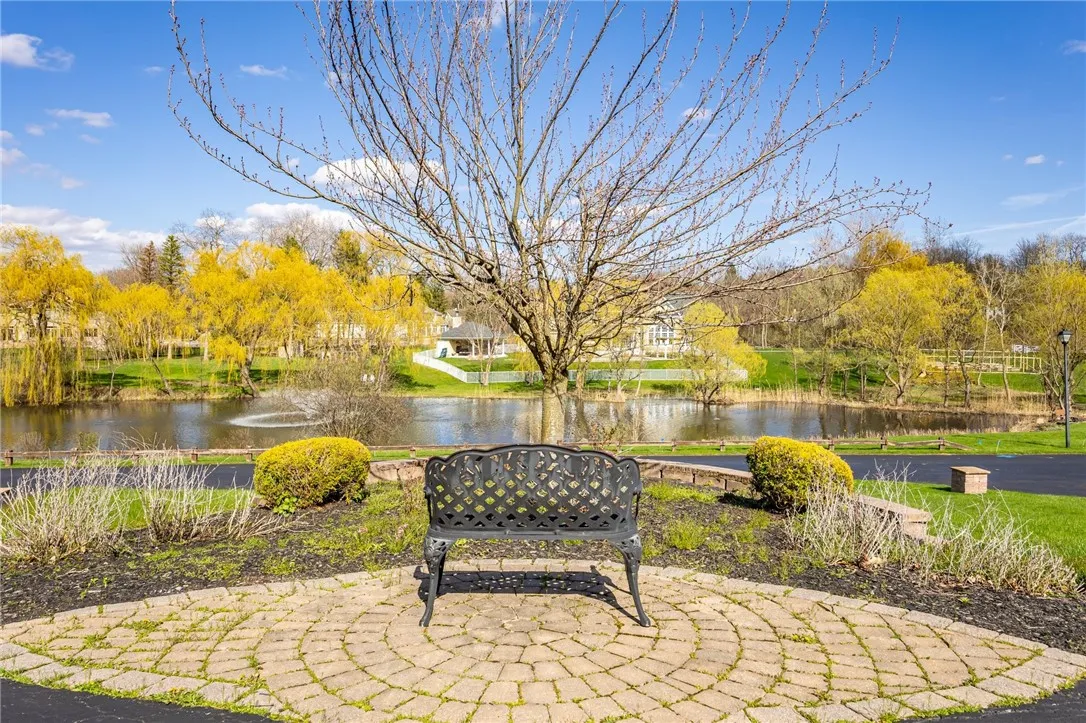 View of Pond