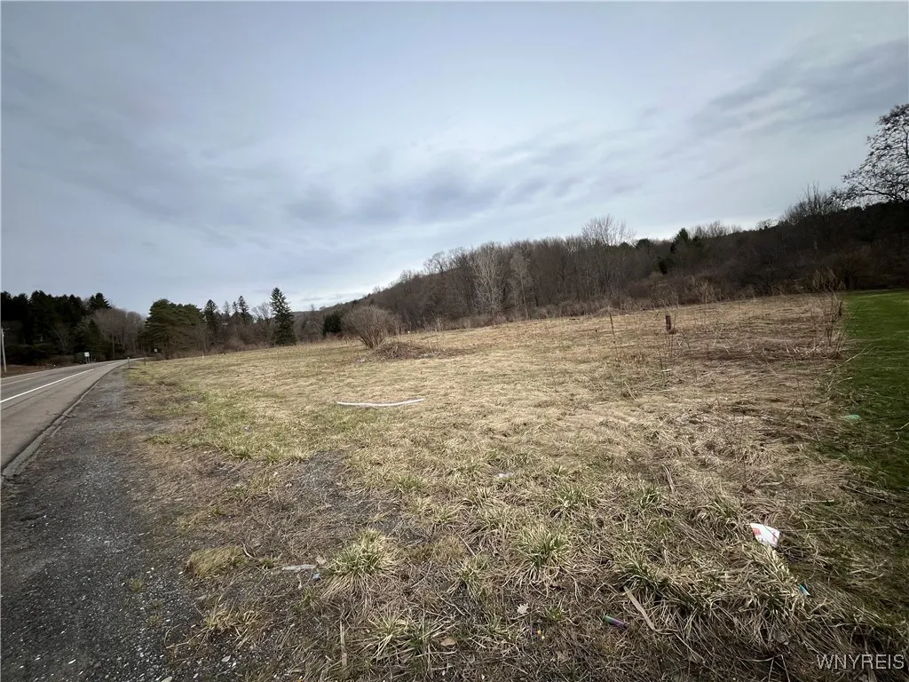 Vl Us-219, Ellicottville, New York 14731, Ellicottville, New York 14731, ,Land,For Sale,Vl Us-219, Ellicottville, New York 14731,0,B1596596