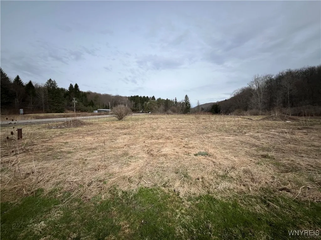 Vl Us-219, Ellicottville, New York 14731, Ellicottville, New York 14731, ,Land,For Sale,Vl Us-219, Ellicottville, New York 14731,0,B1596596