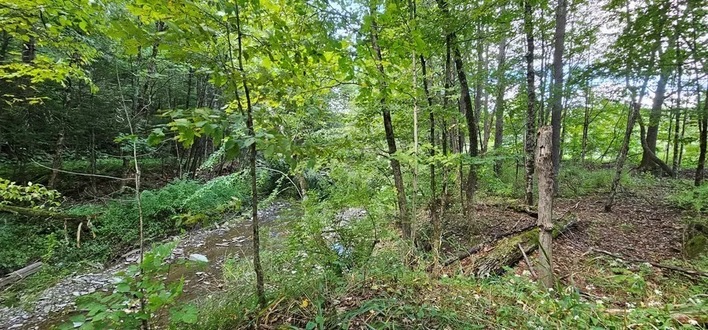 0 Mile Lane Road, None, Pennsylvania 18840, Athens Twp, Pennsylvania 18840, ,Land,Closed,0 Mile Lane Road, None, Pennsylvania 18840,R1601860
