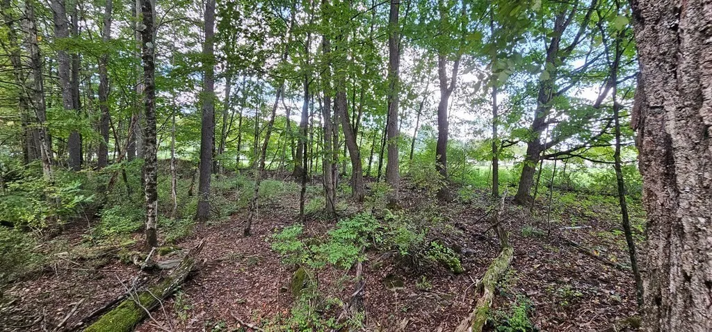 0 Mile Lane Road, None, Pennsylvania 18840, Athens Twp, Pennsylvania 18840, ,Land,Closed,0 Mile Lane Road, None, Pennsylvania 18840,R1601860