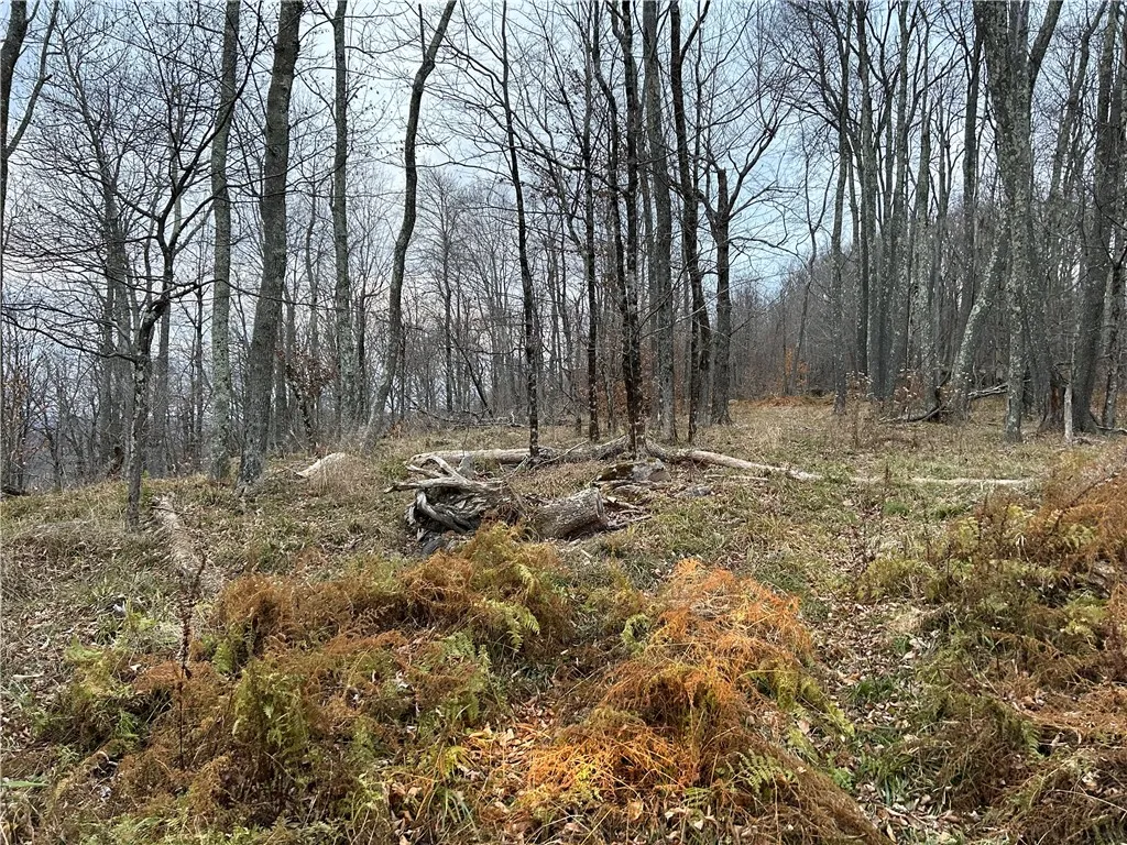Upper Punchbowl Road, Rockland, New York 12776, Rockland, New York 12776, ,Land,For Sale,Upper Punchbowl Road, Rockland, New York 12776,R1598631