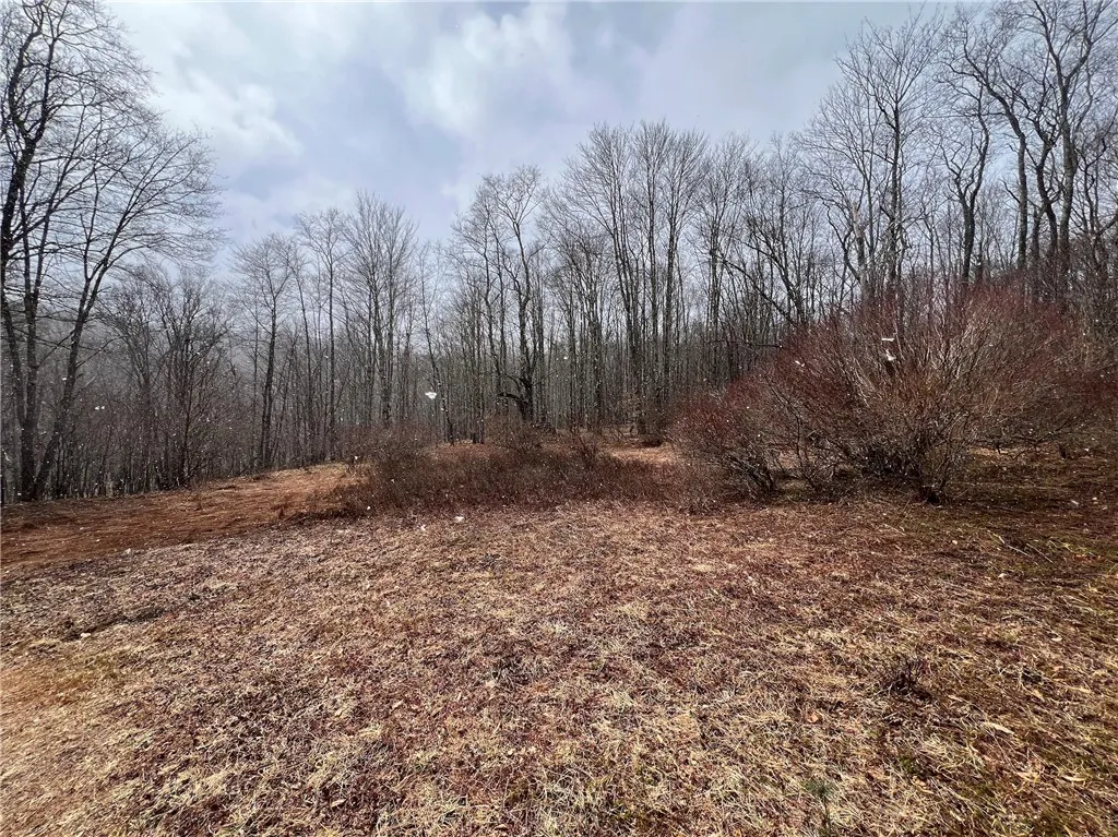 Upper Punchbowl Road, Rockland, New York 12776, Rockland, New York 12776, ,Land,For Sale,Upper Punchbowl Road, Rockland, New York 12776,R1598631