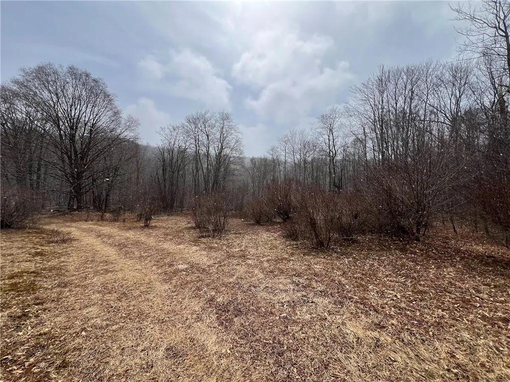 Upper Punchbowl Road, Rockland, New York 12776, Rockland, New York 12776, ,Land,For Sale,Upper Punchbowl Road, Rockland, New York 12776,R1598631