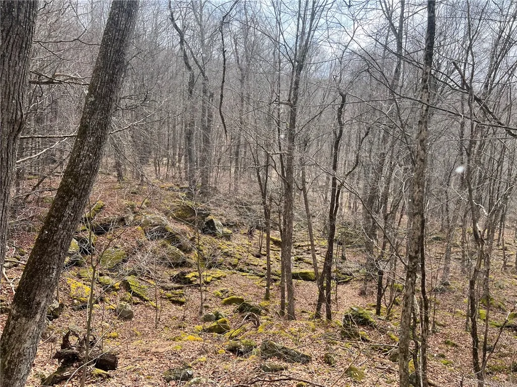 Upper Punchbowl Road, Rockland, New York 12776, Rockland, New York 12776, ,Land,For Sale,Upper Punchbowl Road, Rockland, New York 12776,R1598631