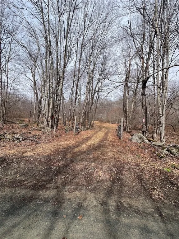 Upper Punchbowl Road, Rockland, New York 12776, Rockland, New York 12776, ,Land,For Sale,Upper Punchbowl Road, Rockland, New York 12776,R1598631