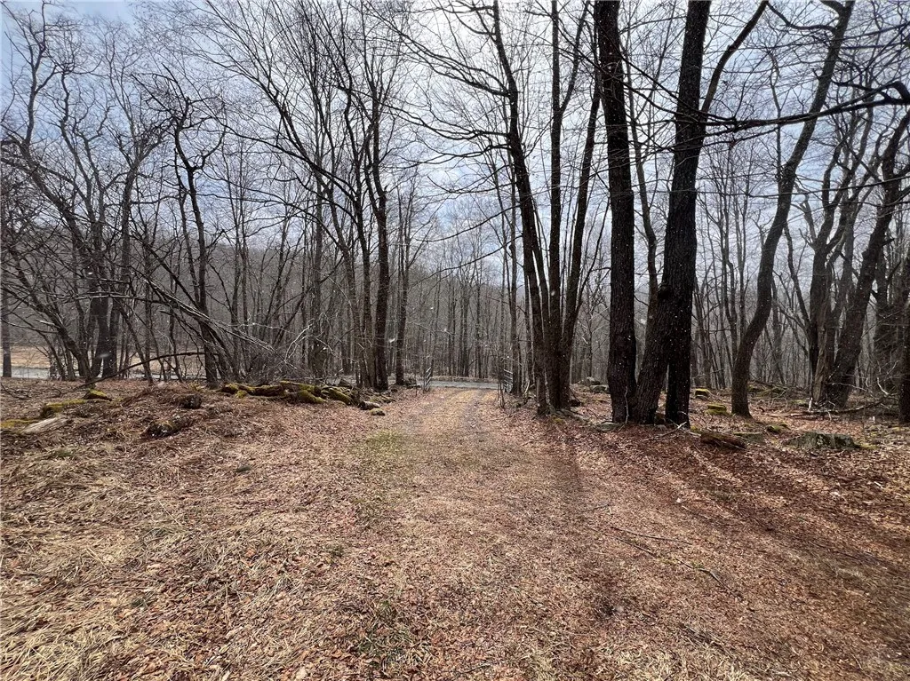 Upper Punchbowl Road, Rockland, New York 12776, Rockland, New York 12776, ,Land,For Sale,Upper Punchbowl Road, Rockland, New York 12776,R1598631