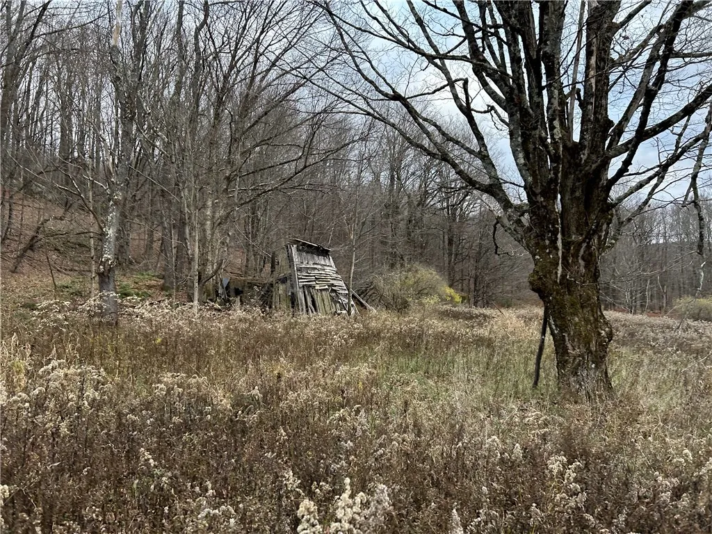 Upper Punchbowl Road, Rockland, New York 12776, Rockland, New York 12776, ,Land,For Sale,Upper Punchbowl Road, Rockland, New York 12776,R1598631