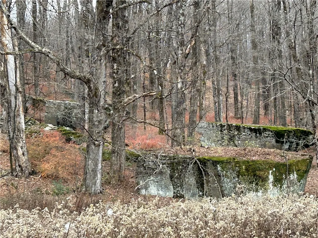 Upper Punchbowl Road, Rockland, New York 12776, Rockland, New York 12776, ,Land,For Sale,Upper Punchbowl Road, Rockland, New York 12776,R1598631