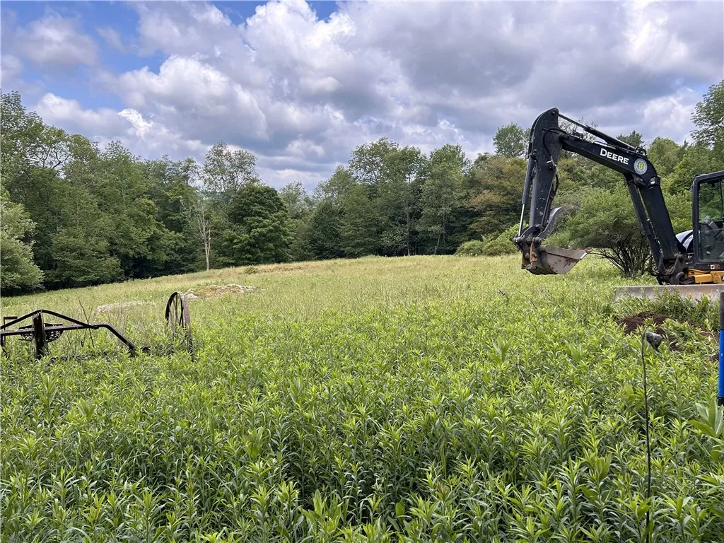 Upper Punchbowl Road, Rockland, New York 12776, Rockland, New York 12776, ,Land,For Sale,Upper Punchbowl Road, Rockland, New York 12776,R1598631