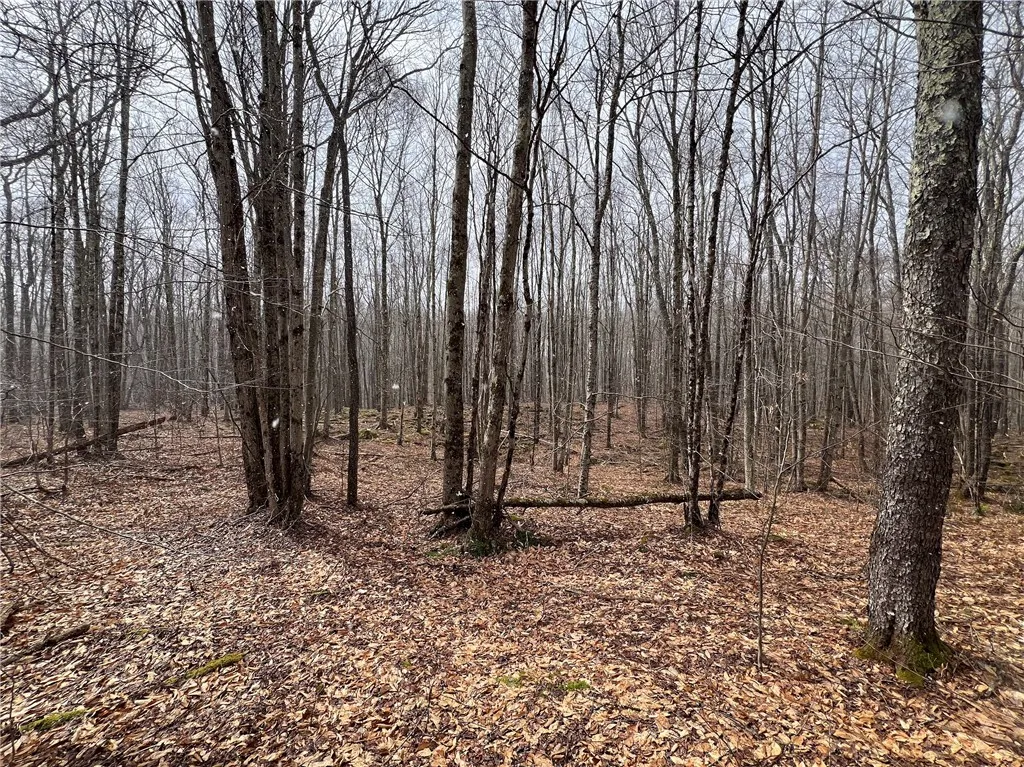 Upper Punchbowl Road, Rockland, New York 12776, Rockland, New York 12776, ,Land,For Sale,Upper Punchbowl Road, Rockland, New York 12776,R1598631