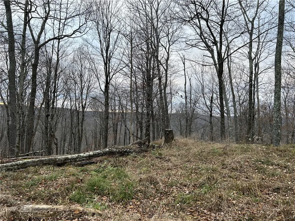 Upper Punchbowl Road, Rockland, New York 12776, Rockland, New York 12776, ,Land,For Sale,Upper Punchbowl Road, Rockland, New York 12776,R1598631