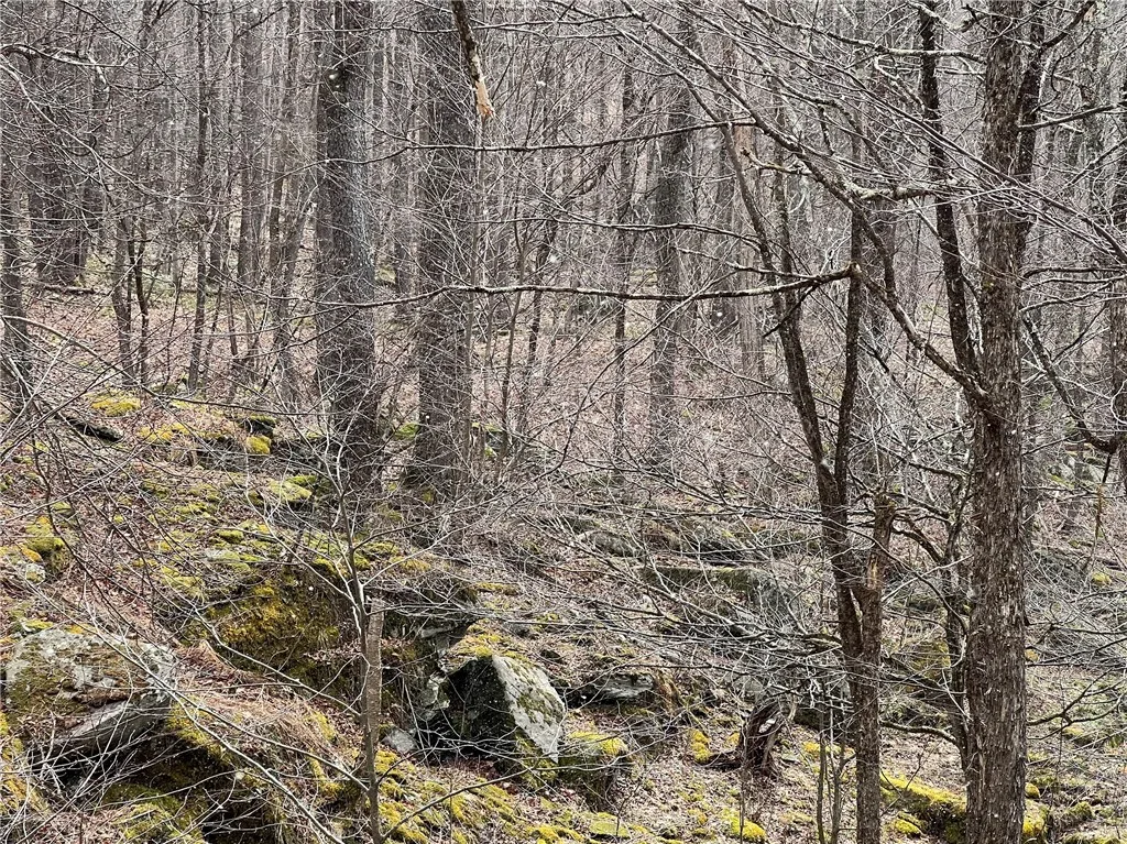 Upper Punchbowl Road, Rockland, New York 12776, Rockland, New York 12776, ,Land,For Sale,Upper Punchbowl Road, Rockland, New York 12776,R1598631