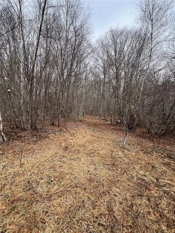 Upper Punchbowl Road, Rockland, New York 12776, Rockland, New York 12776, ,Land,For Sale,Upper Punchbowl Road, Rockland, New York 12776,R1598631