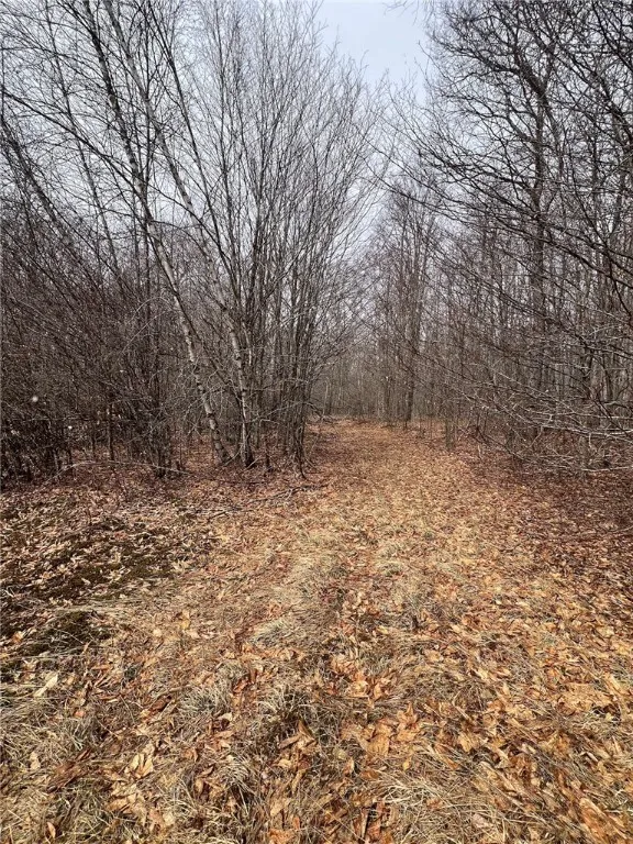 Upper Punchbowl Road, Rockland, New York 12776, Rockland, New York 12776, ,Land,For Sale,Upper Punchbowl Road, Rockland, New York 12776,R1598631