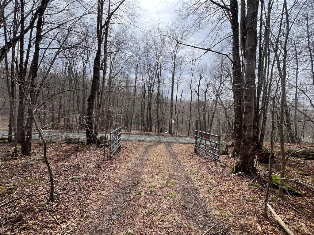 Upper Punchbowl Road, Rockland, New York 12776, Rockland, New York 12776, ,Land,For Sale,Upper Punchbowl Road, Rockland, New York 12776,R1598631