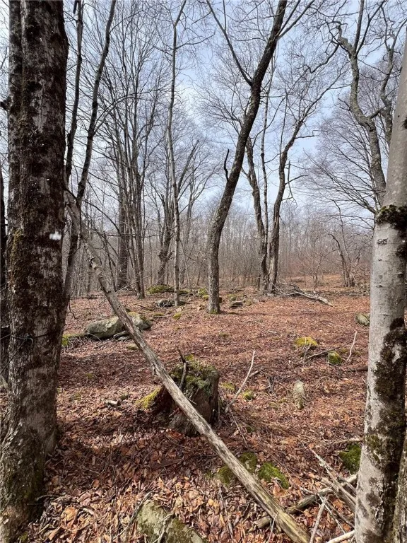 Upper Punchbowl Road, Rockland, New York 12776, Rockland, New York 12776, ,Land,For Sale,Upper Punchbowl Road, Rockland, New York 12776,R1598631