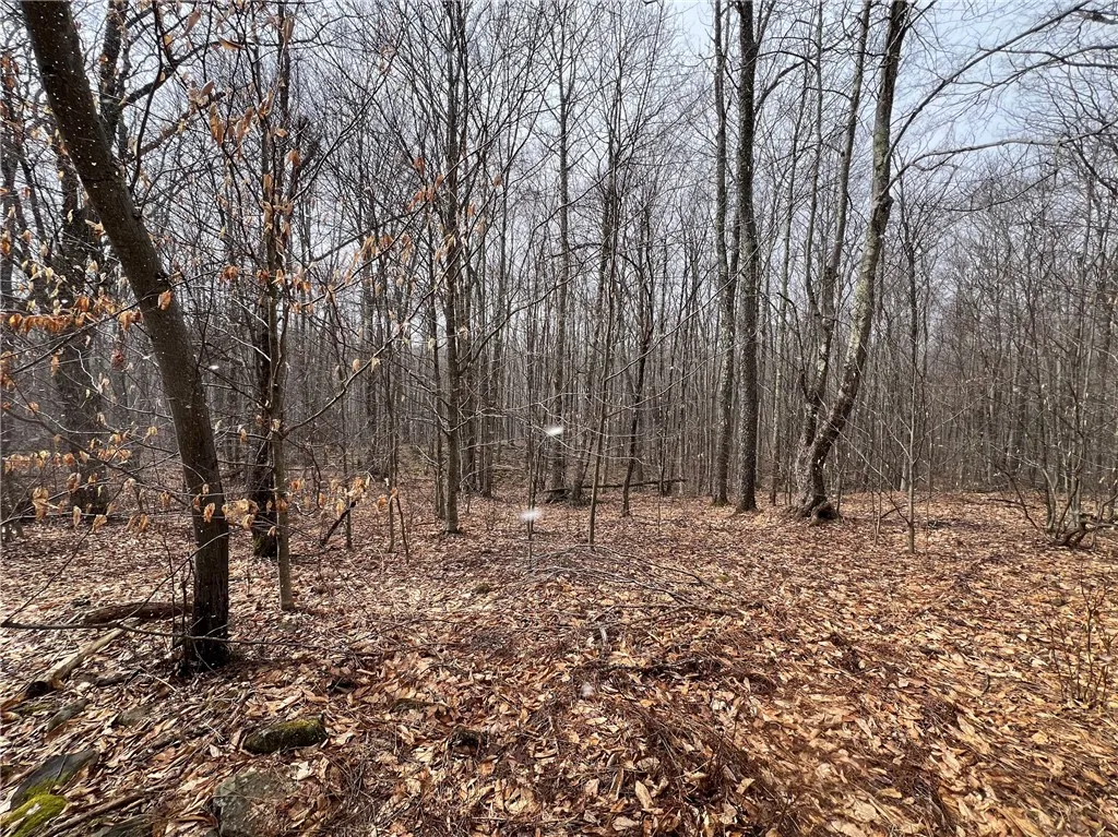 Upper Punchbowl Road, Rockland, New York 12776, Rockland, New York 12776, ,Land,For Sale,Upper Punchbowl Road, Rockland, New York 12776,R1598631