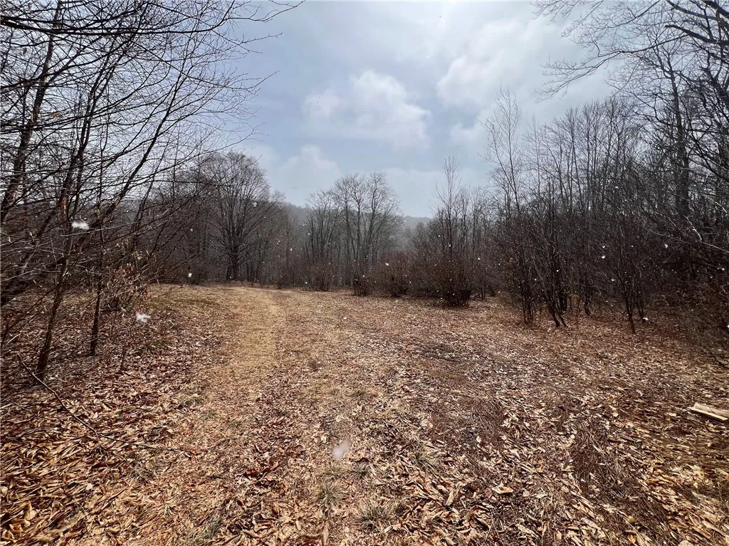 Upper Punchbowl Road, Rockland, New York 12776, Rockland, New York 12776, ,Land,For Sale,Upper Punchbowl Road, Rockland, New York 12776,R1598631