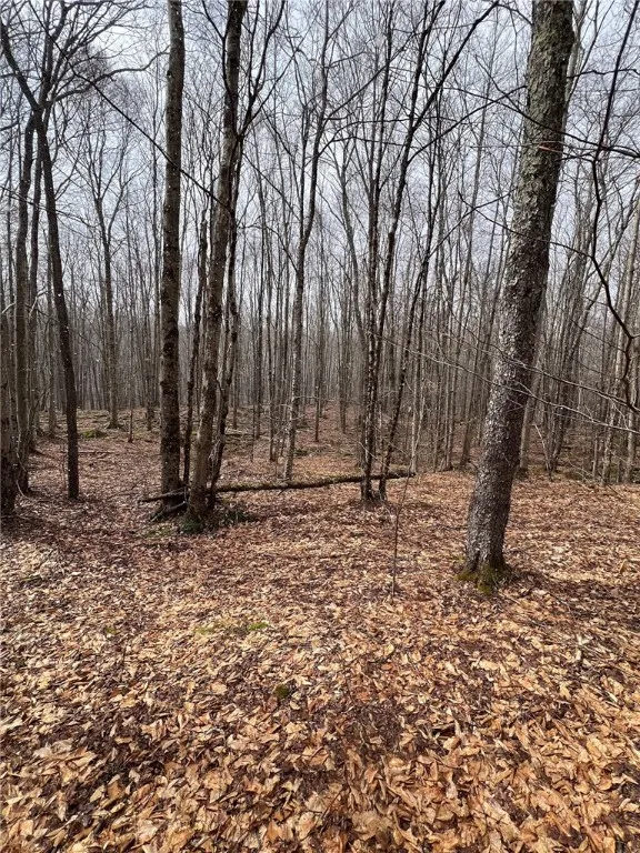 Upper Punchbowl Road, Rockland, New York 12776, Rockland, New York 12776, ,Land,For Sale,Upper Punchbowl Road, Rockland, New York 12776,R1598631