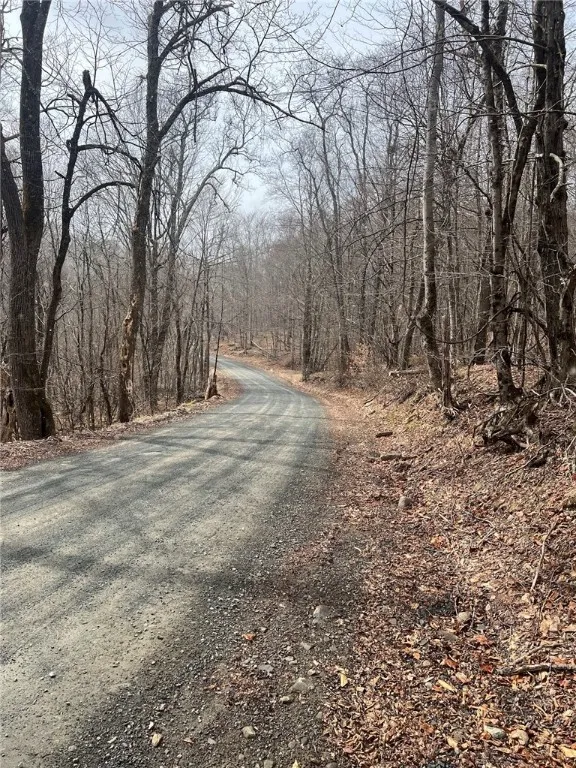 Upper Punchbowl Road, Rockland, New York 12776, Rockland, New York 12776, ,Land,For Sale,Upper Punchbowl Road, Rockland, New York 12776,R1598631