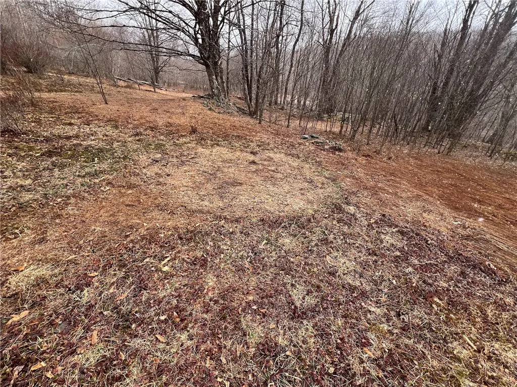 Upper Punchbowl Road, Rockland, New York 12776, Rockland, New York 12776, ,Land,For Sale,Upper Punchbowl Road, Rockland, New York 12776,R1598631